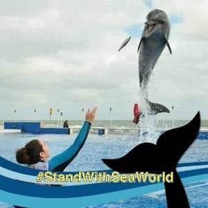 Meet your Posher, Melinda